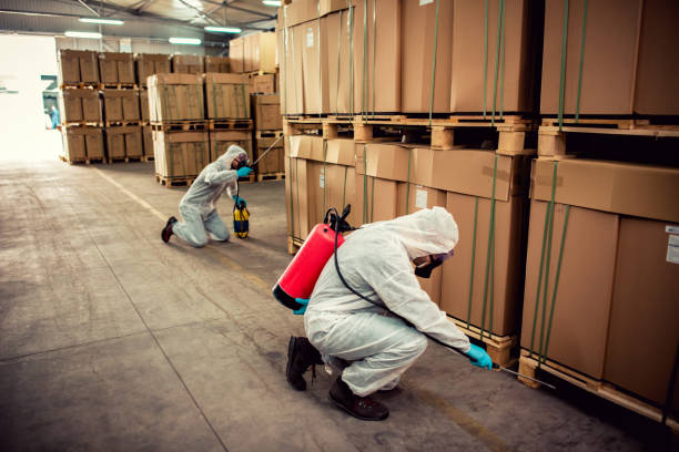 Best Local Pest Control Services  in Bright, IN