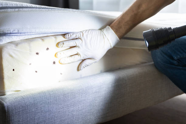 Pest Control for Restaurants in Bright, IN
