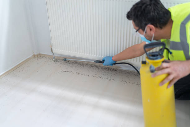 Best Affordable Pest Control Services  in Bright, IN
