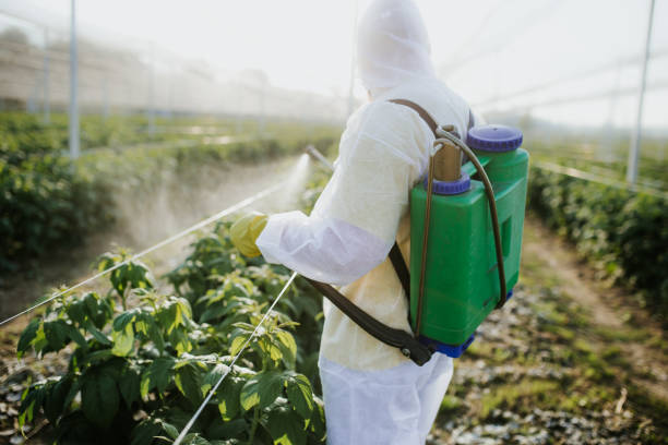 Best Affordable Pest Control Services  in Bright, IN